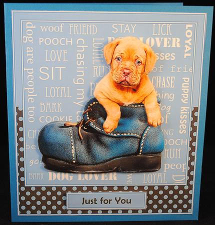 Puppy in Boot by Yvonne Middleton