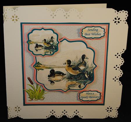 Get Well Soon Card with Mallard Pond Scene by Yvonne Middleton