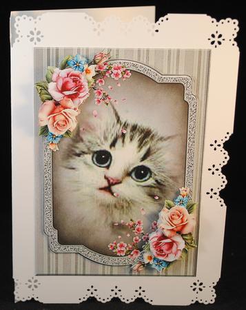 Cat and Roses by Yvonne Middleton
