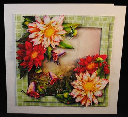 Floral & Flutters - Dahlia Blooms by Yvonne Middleton