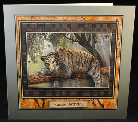 Majestic Tiger by Yvonne Middleton