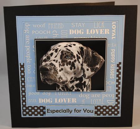 Dalmatian Dog Lover by Yvonne Middleton