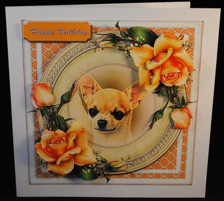 Chihuahua by Yvonne Middleton