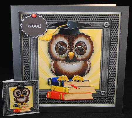 Woot! You Did It by Yvonne Middleton