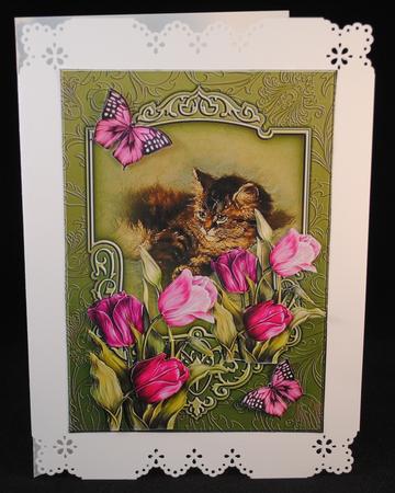 Cat and Tulips by Yvonne Middleton
