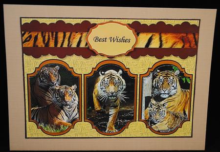 Tiger Card by Yvonne Middleton
