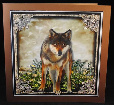 The Kingdom Card Front Kit by Yvonne Middleton