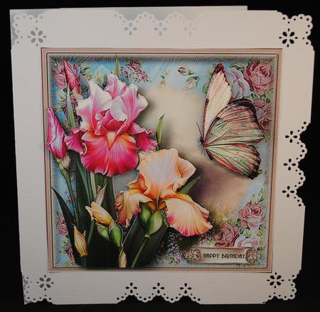 Beautiful Blush Iris Flutter Card Kit by Yvonne Middleton