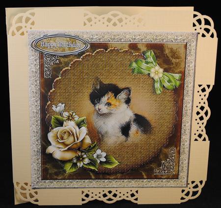 Cat by Yvonne Middleton