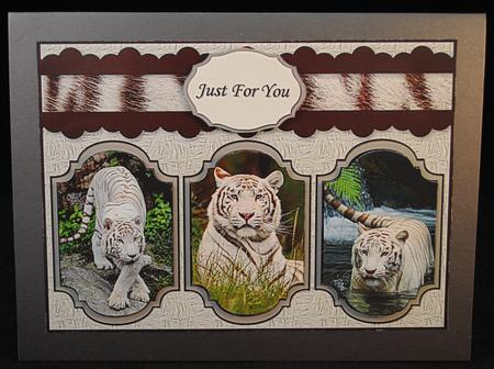 White Tiger Card by Yvonne Middleton