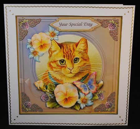 Vintage Cat Special Day 7x7 Cf. by Yvonne Middleton