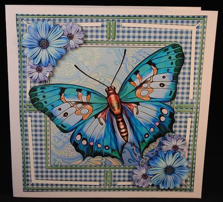 Jumbo Butterfly and Dasies Blue 8x8 by Yvonne Middleton
