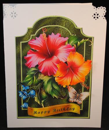 Hibiscus Flower by Yvonne Middleton