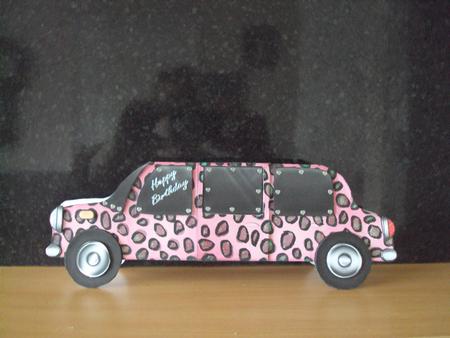 Large Dl Leopardskin Stretch Limo Shaped Card by Zeta Pearce