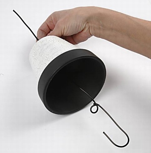 For the birds in cold weather