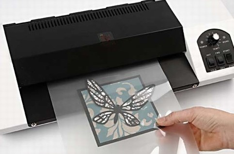 A Laminated Butterfly Place Card