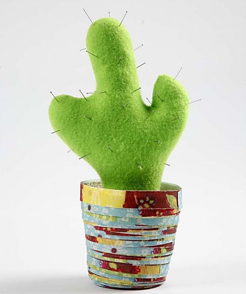 Cactus in a paper pot