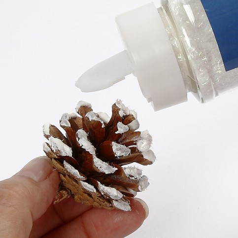 Flower Pots with Pine Cones