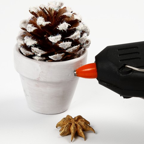 Flower Pots with Pine Cones
