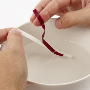 Nice porcelain articles