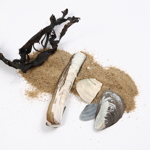 A Collage Frame with a Beach Motif in A-Color Allround Medium Glue Lacquer and Sand