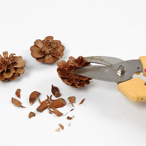 A woven heart-shaped Garland made from natural Branches with Cones and Star Anise