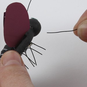 Colourful insects