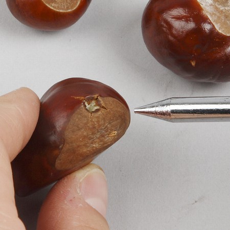 Framed Chestnuts