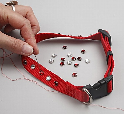 Collar