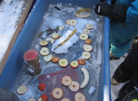Paint on ice and snow