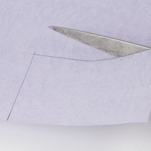 Pastelcard and cones