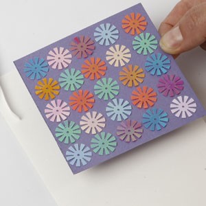 Pastelcard and cones
