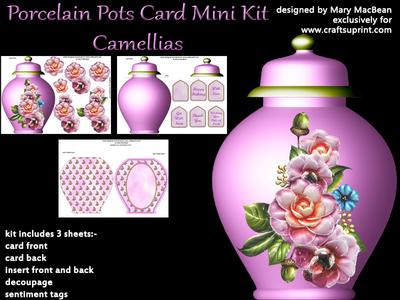 Porcelain Pots Mini Kits Image-2