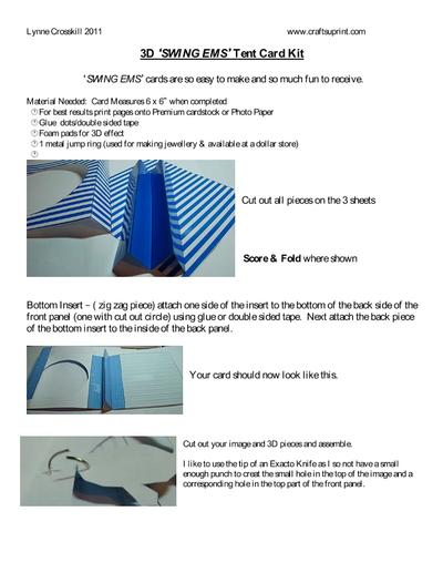 'SWING EMS' Card Kits PDF-9