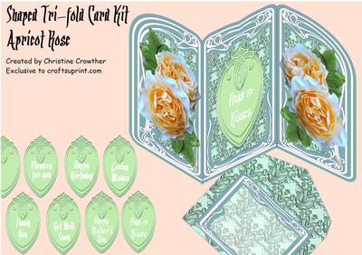  Shaped Tri-fold Card Kits Image-11
