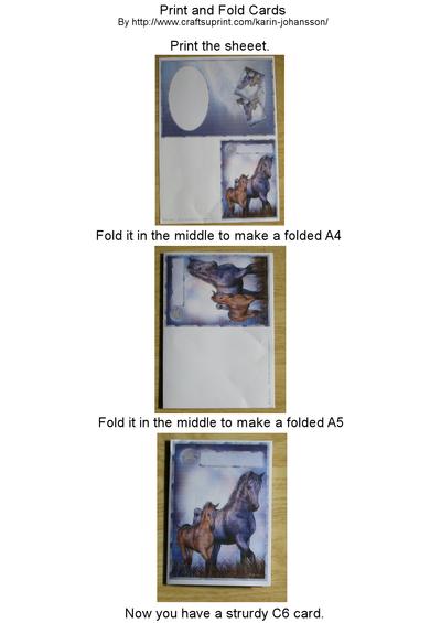 Print & fold instructions Image