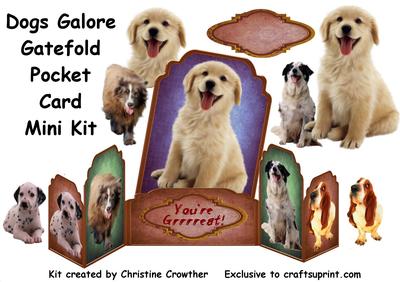 Gatefold Pocket Card (Mini Kit) Tutorial Image-4