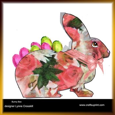 Bunny Boxes Image-4