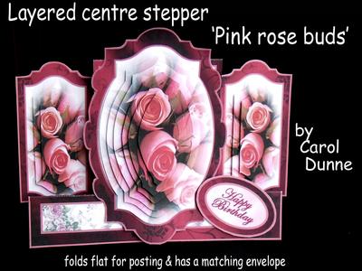 Layered centre steppers Image-6