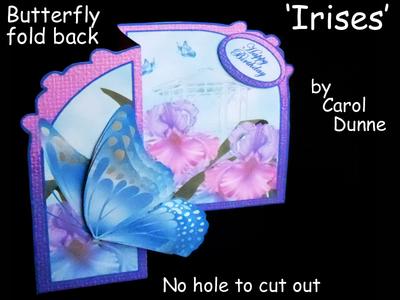 Butterfly fold back mini kits Image-5