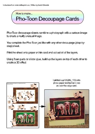 Pho-Toon Cards PDF