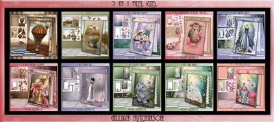 3 in 1 Mini Kits Image